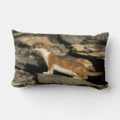 狩り ランバークッション (裏面)