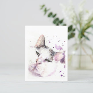 狩猟猫 ポストカード