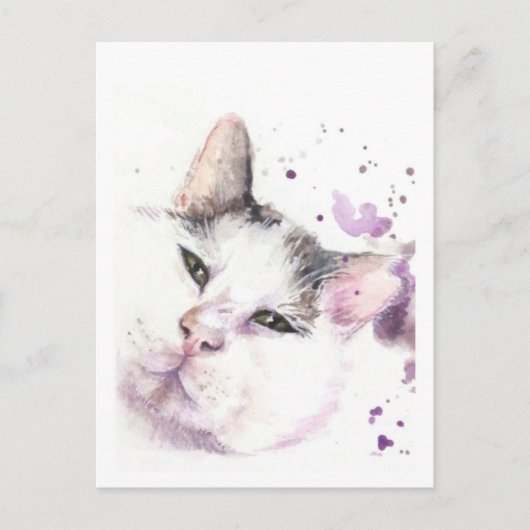 狩猟猫 ポストカード (正面)