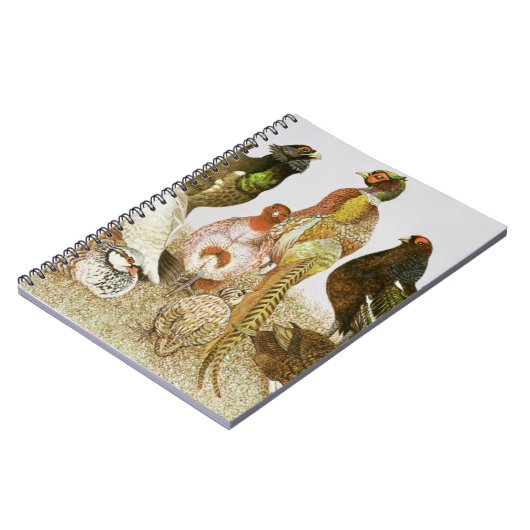 狩猟鳥 ノートブック (左側)