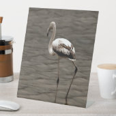 独り立ちになった青少年フラミンゴの芸術 台座サイン (インサイチュ)