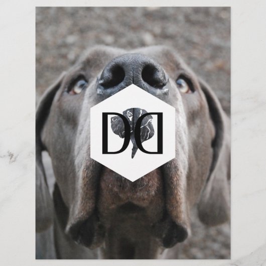 独創的インベンタールフライヤー チラシ (正面)