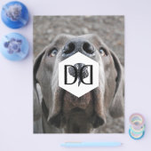 独創的インベンタールフライヤー チラシ (シングル)