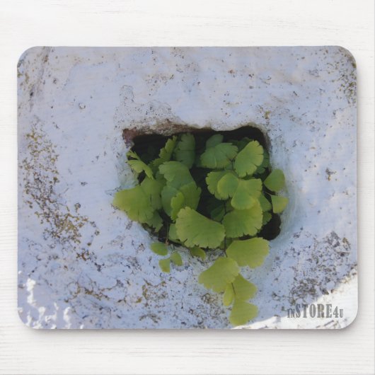 独占的なマウスパッド-壁044 マウスパッド (正面)