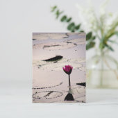 独唱 |カンボジア ポストカード (スタンド正面)