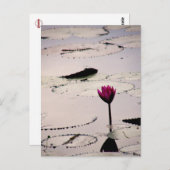 独唱 |カンボジア ポストカード (正面/裏面)