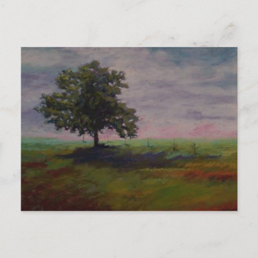 独奏 ポストカード (正面)