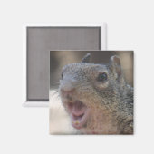 独断リス磁石 マグネット (正面/裏面)