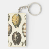 独特に定形貝殻 キーホルダー (裏面)