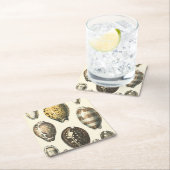 独特に定形貝殻 スクエアペーパーコースター (インサイチュ)