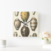 独特に定形貝殻 スクエア壁時計 (ホーム)