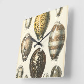 独特に定形貝殻 スクエア壁時計 (傾斜)