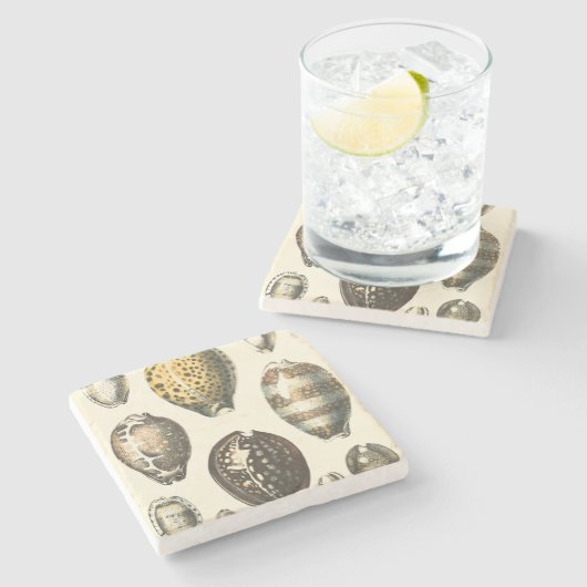 独特に定形貝殻 ストーンコースター (横)