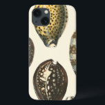 独特に定形貝殻 iPhone 13ケース<br><div class="desc">暖かい砂で広げて置き、隠された宝物を見つけて下さい! Kobeitによるこの絵画、彼は陸上見つけられる美しい水生命を捕獲します。 Kobeitはヴィンテージの調子のセピア色によってある調子を与えられる貝殻の美しい配列を捕獲します。 Zazzleあなたの次のプロダクトのあなたの美しい海の芸術を今日得て下さい。</div>