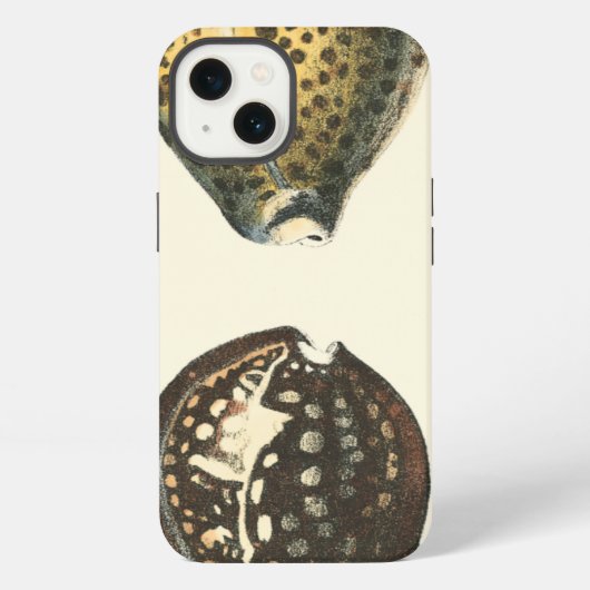 独特に定形貝殻 iPhoneケース (裏面)