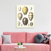 独特の形をした貝殻 キャンバスプリント (インサイチュ (リビング))