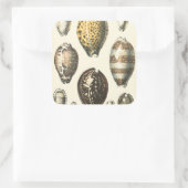 独特の形をした貝殻 スクエアシール (バッグ)