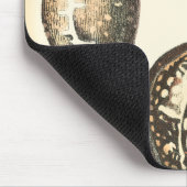 独特の形をした貝殻 マウスパッド (コーナー)