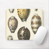 独特の形をした貝殻 マウスパッド (マウス)