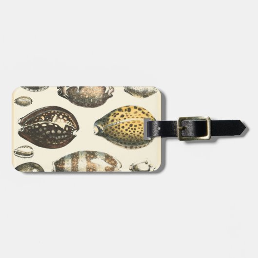 独特の形をした貝殻 ラゲッジタグ (正面横)