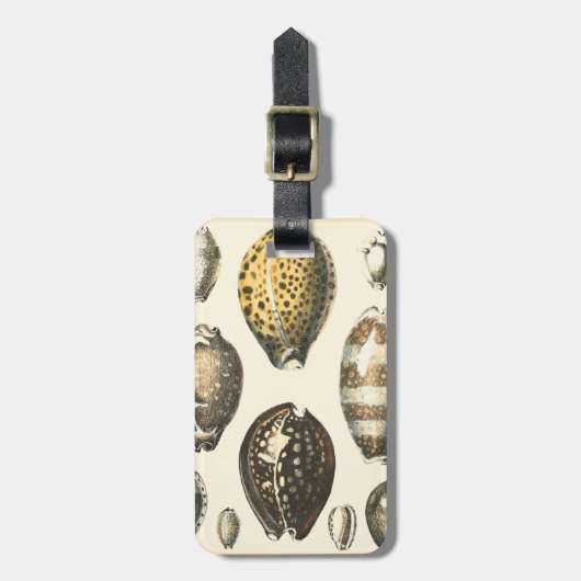 独特の形をした貝殻 ラゲッジタグ (正面縦)