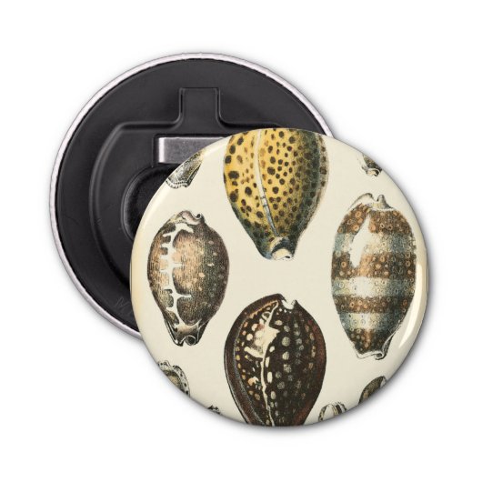 独特の形をした貝殻 栓抜き (正面)