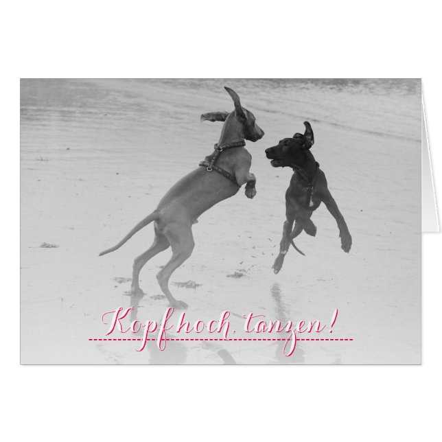 独眼的な「丹前」 (正面横)