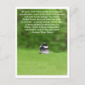 独立した個性 ポストカード (正面)