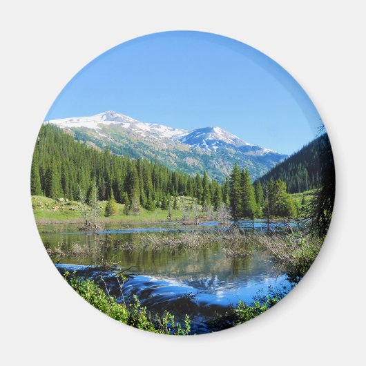 独立への道 マグネット (正面)