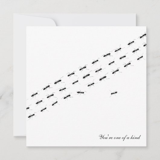 独立アリ葉書 カード (正面)