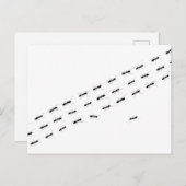 独立アリ ポストカード (正面/裏面)