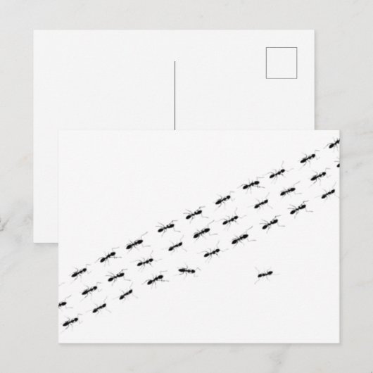 独立アリ ポストカード (正面/裏面)