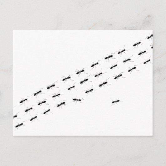 独立アリ ポストカード (正面)