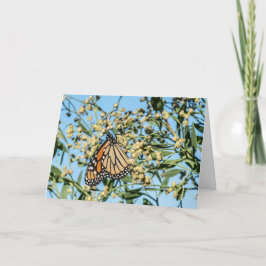 独立カード カード