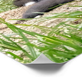 独立祝の考えキツネ ポスター (角)