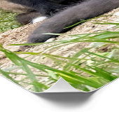 独立祝の考えキツネ ポスター (コーナー)