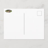 独立祝の考えキツネ ポストカード (裏面)