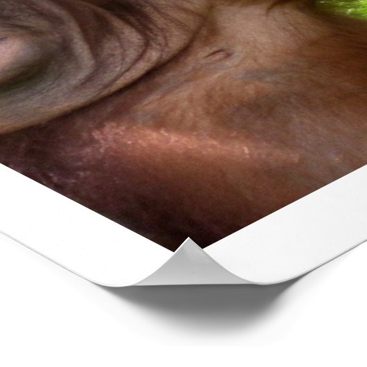 独立記念日インドネシ威厳があるア17 ポスター (角)