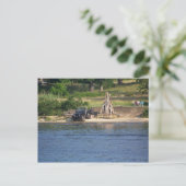 独立記念日 ポストカード (スタンド正面)