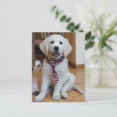 独立記念日、7月4日 ポストカード (スタンド正面)