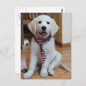 独立記念日、7月4日 ポストカード (正面/裏面)