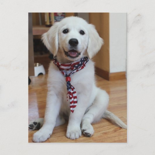 独立記念日、7月4日 ポストカード (正面)