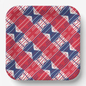 独立記念日BBQ愛国色 ペーパープレート (正面)