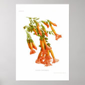 独立運動 ポスター (正面)