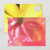 独自のはがきを作成する ポストカード (正面/裏面)