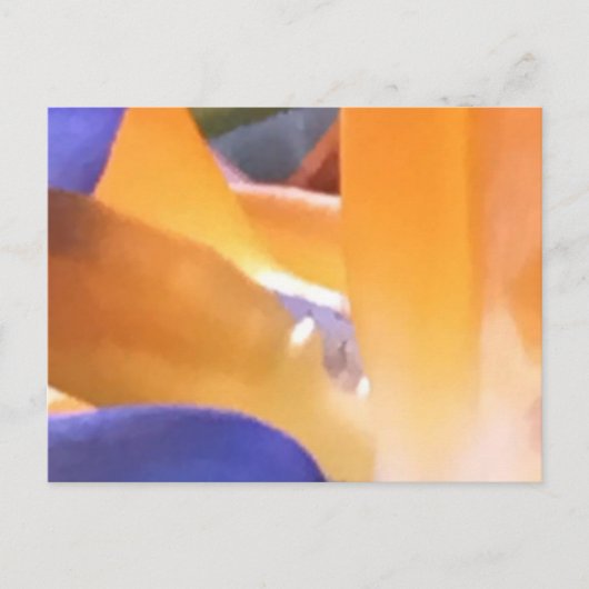 独自のはがきを作成する ポストカード (正面)