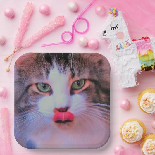 独自のイメージの追加を作成するパーソナライズ ペーパープレート (パーティー)