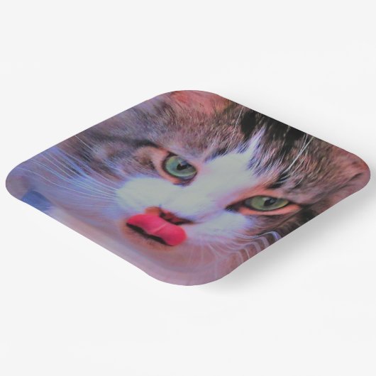 独自のイメージの追加を作成するパーソナライズ ペーパープレート (傾斜あり)