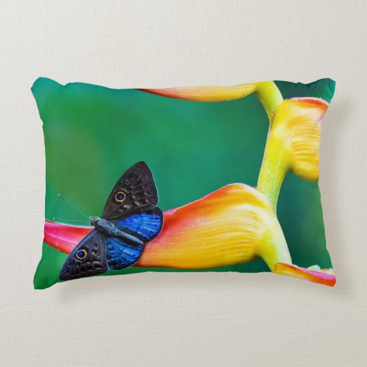 独自のイメージ写真テンプレートカスタムギフトの追加 アクセントクッション (正面)