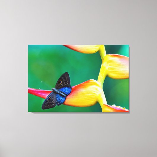 独自のイメージ写真テンプレートカスタムギフトの追加 キャンバスプリント (正面)